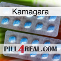 Kamagara viagra4